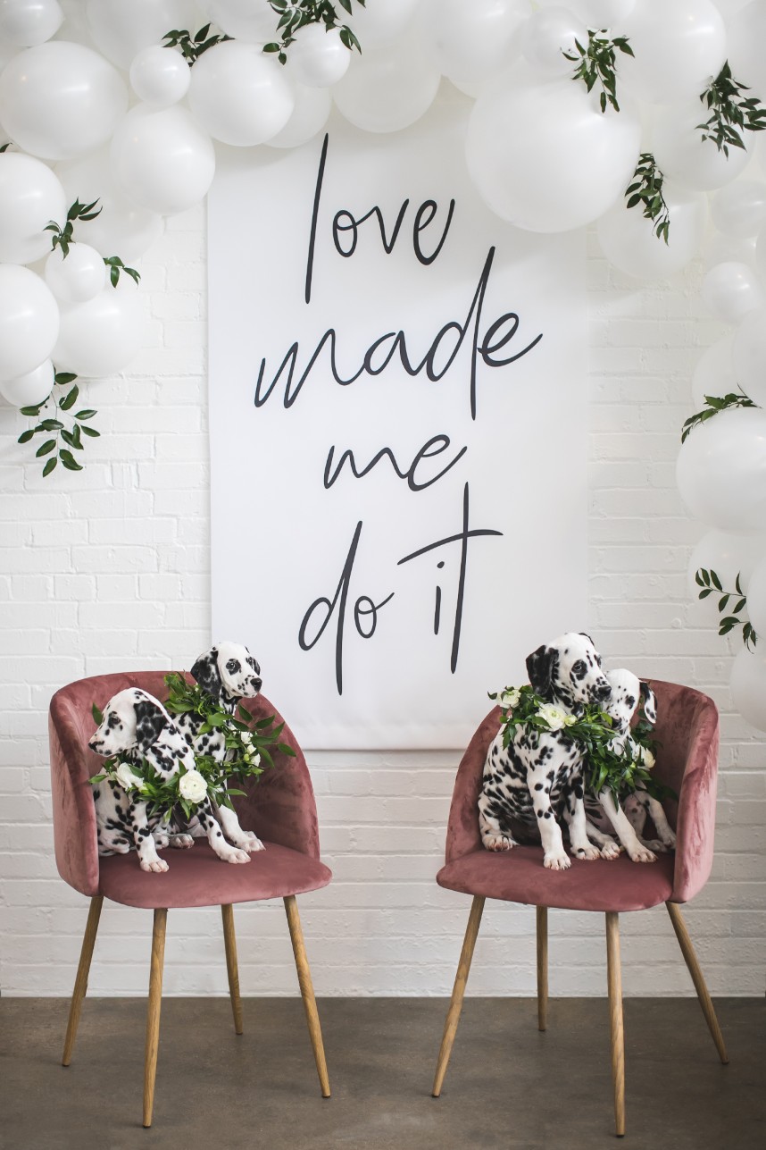 Whimsical bridal shower Clearance