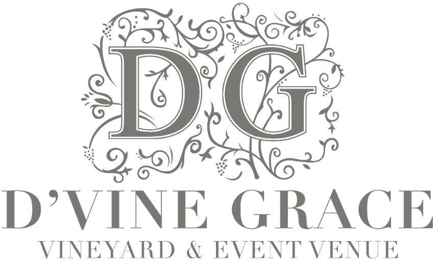 This Modern Chic Boho Wedding at D'Vine Grace Vineyard Takes the Cake